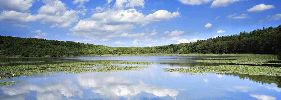Healthy Climate Banner Cloud Reflection
