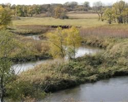 land stewardship