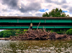 Log jam under the I-80 bridge on the Raccoon River