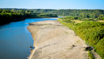 River with trees on banks