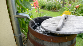 How Stormwater Management Can Support Solutions to Iowa's Water Quality Crisis