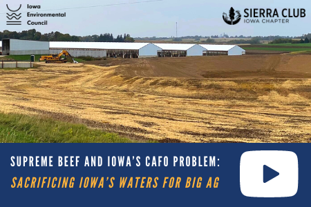 Supreme Beef and Iowa's CAFO Problem