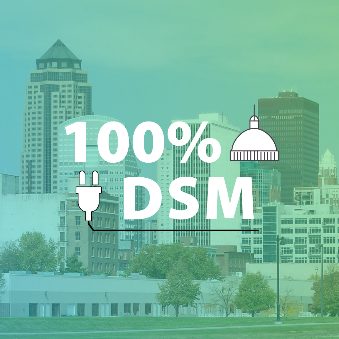 100% DSM 