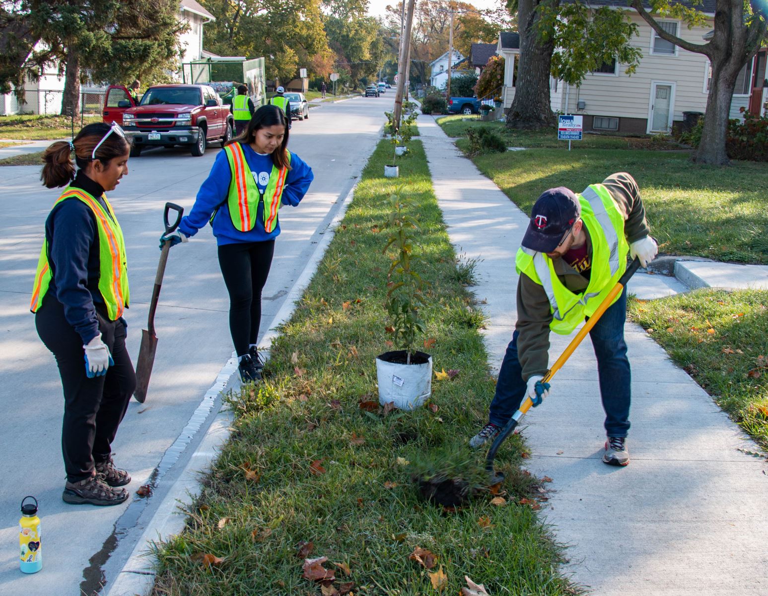 Volunteers planting trees