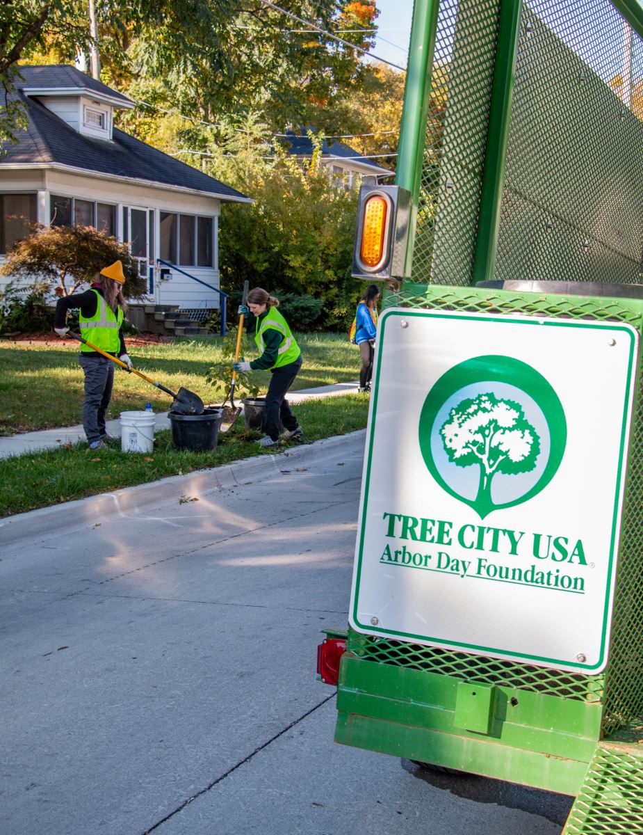 Tree truck with volunteers planting trees in the background