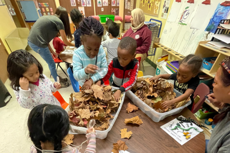 JCC - Classroom Nature Buds