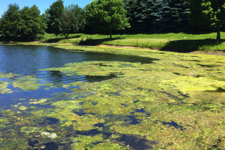 Iowa Water Watch