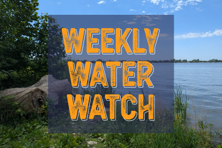 Weekly Water Watch