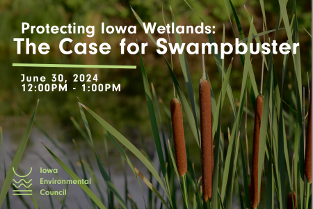 Protecting Iowa Wetlands: The Case for Swampbuster