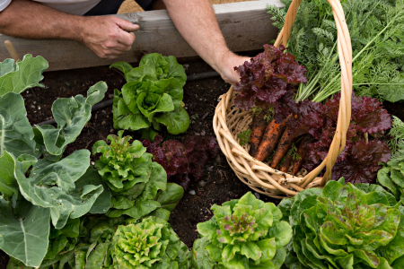 Summer Field Days with Practical Farmers of Iowa