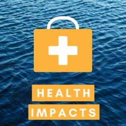 Health Impacts Icon
