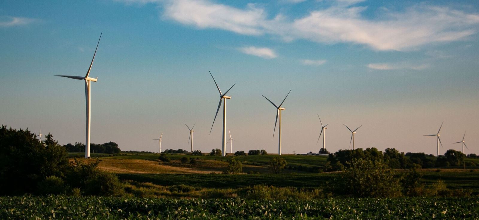 Windmills at sunset