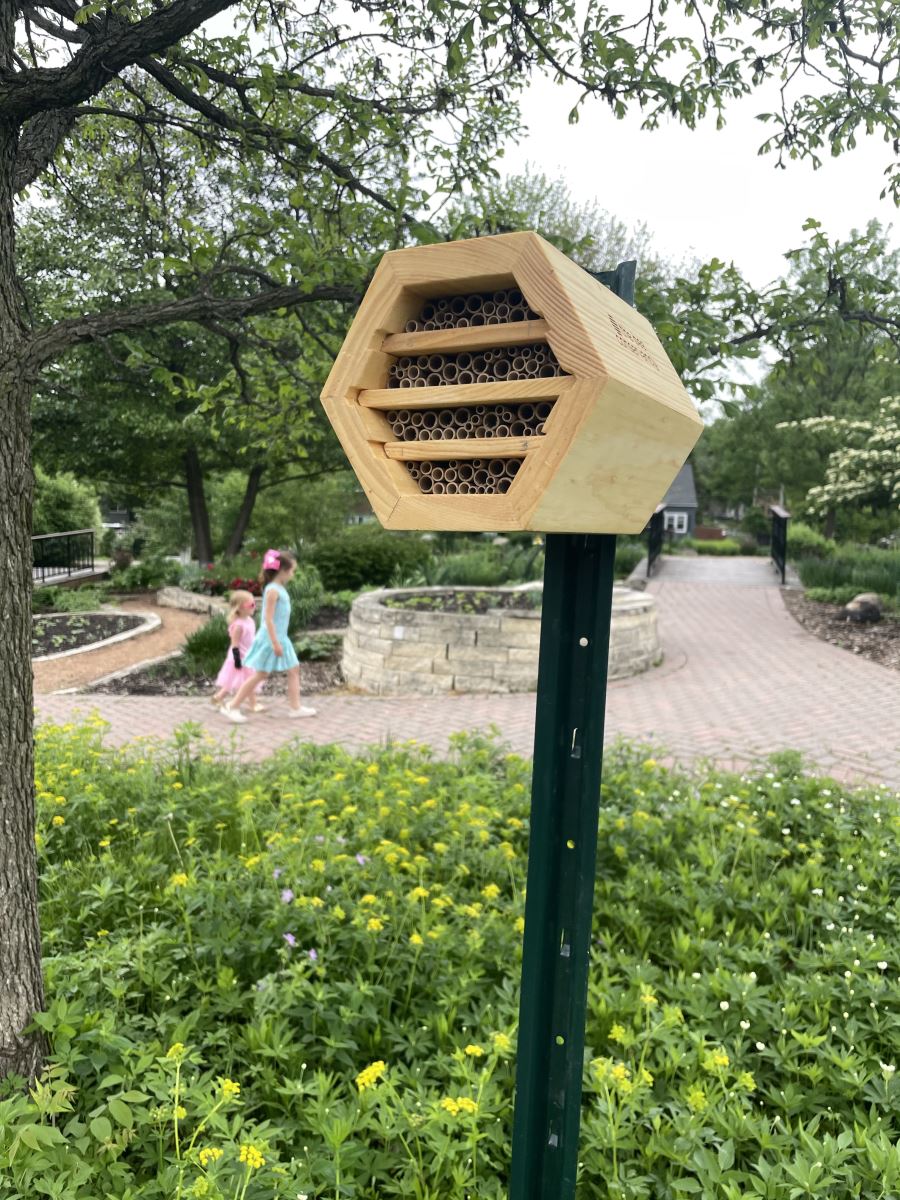 Bee house in garden