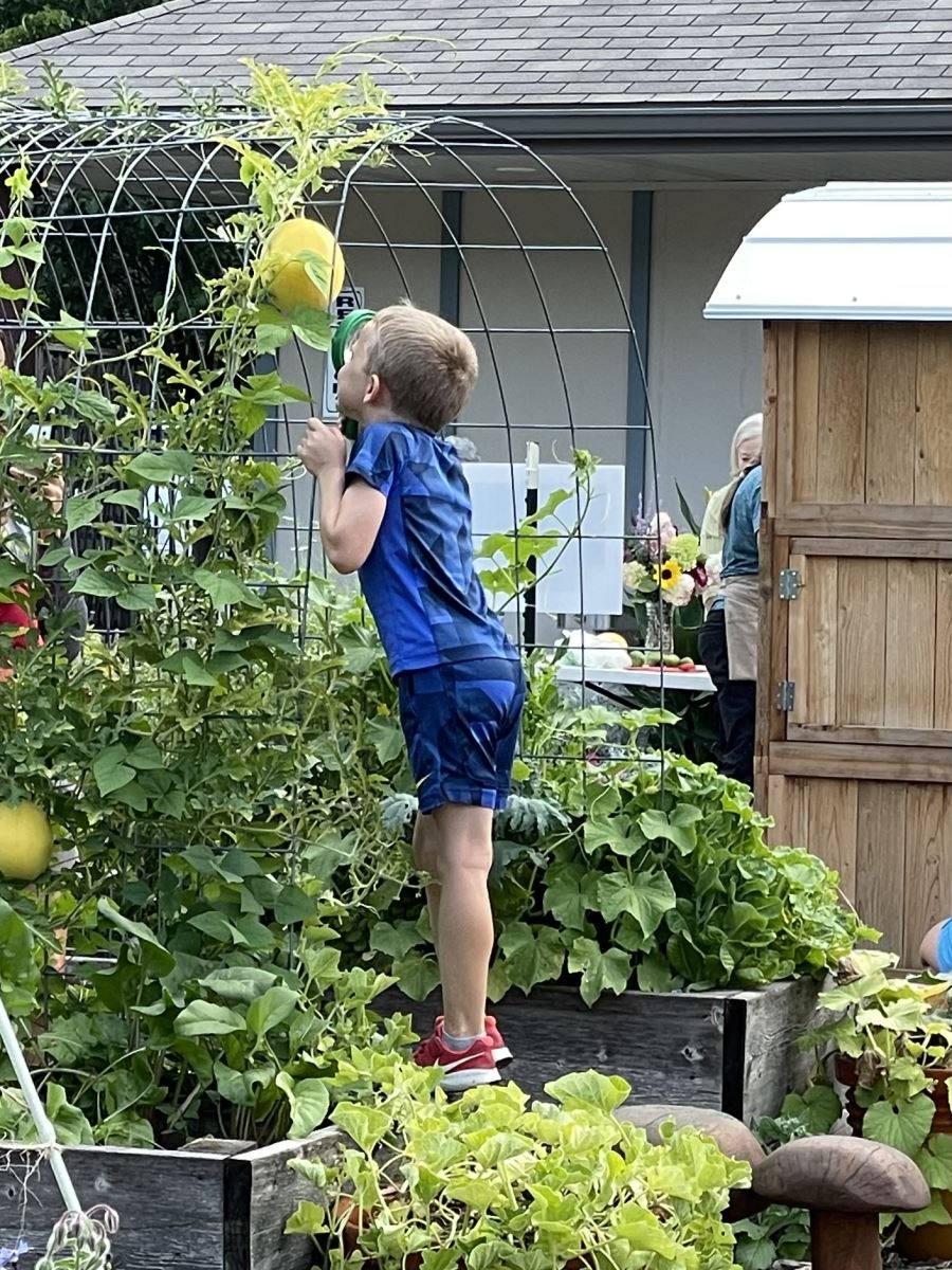 Boy examining produce
