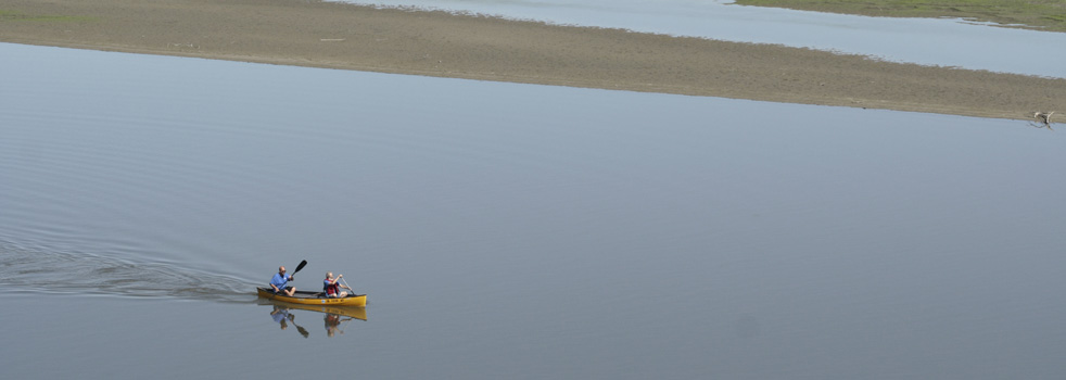 Water & Land Banner Canoers